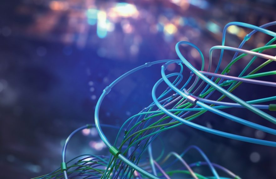 Fiber optic cables illustrating Panduit Optical LAN network infrastructure.